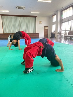 徳島　カンフー　教室　徳島武術太極拳チーム　エミール　ブリッジ