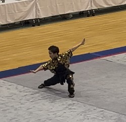 国際武術交流大会　長拳　中国武術　カンフー